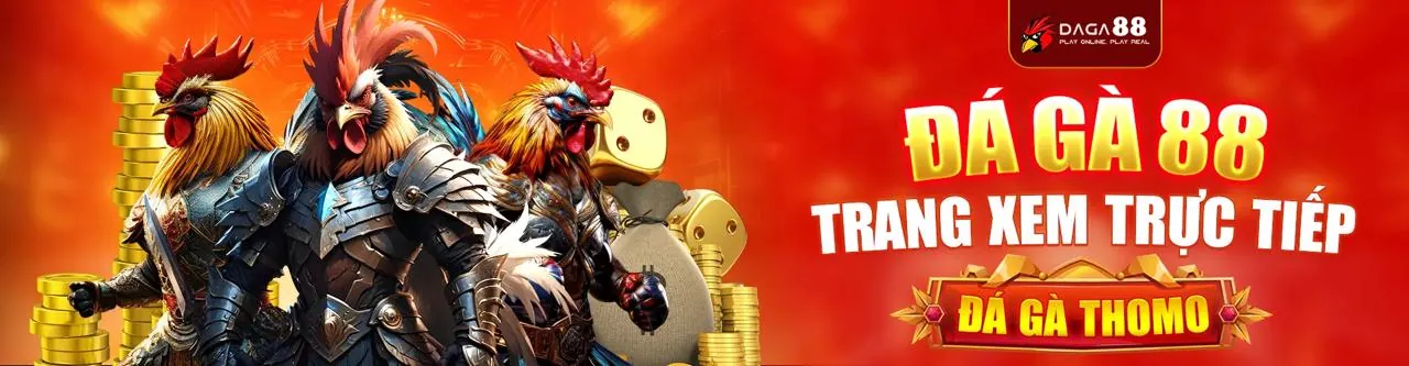 Đá Gà Trực Tiếp Hấp Dẫn tại 88b